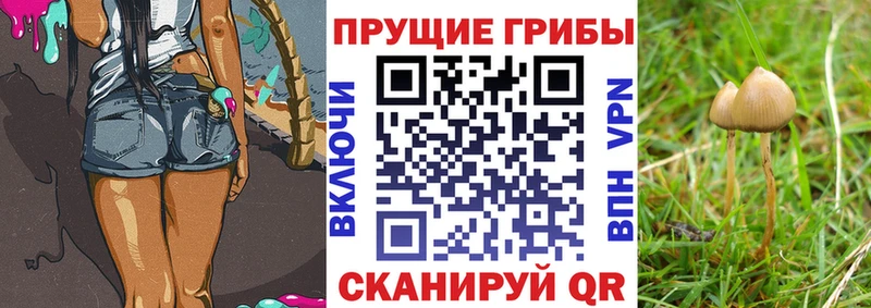 Псилоцибиновые грибы ЛСД Александровск-Сахалинский