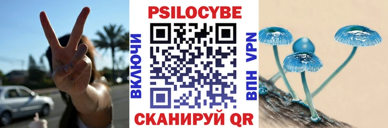 OMG онион закладки Александровск-Сахалинский Галлюциногенные грибы Psilocybine cubensis